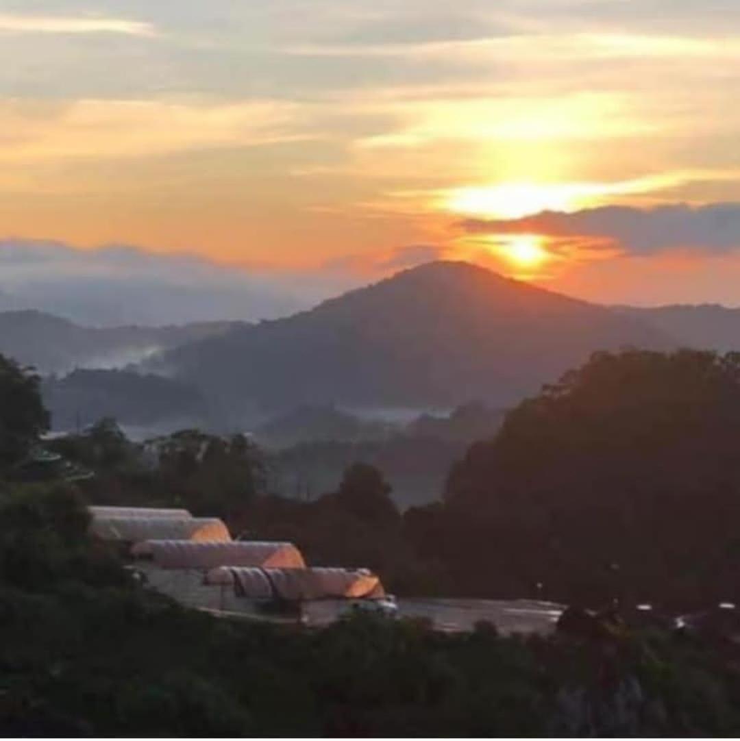 Kensington Sunrise At Sg Palas,Palashorizon Tanah Rata Eksteriør bilde